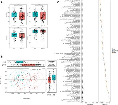 Taxonomic and functional shifts of gut microbiome in immunoglobulin A vasculitis children and their mothers